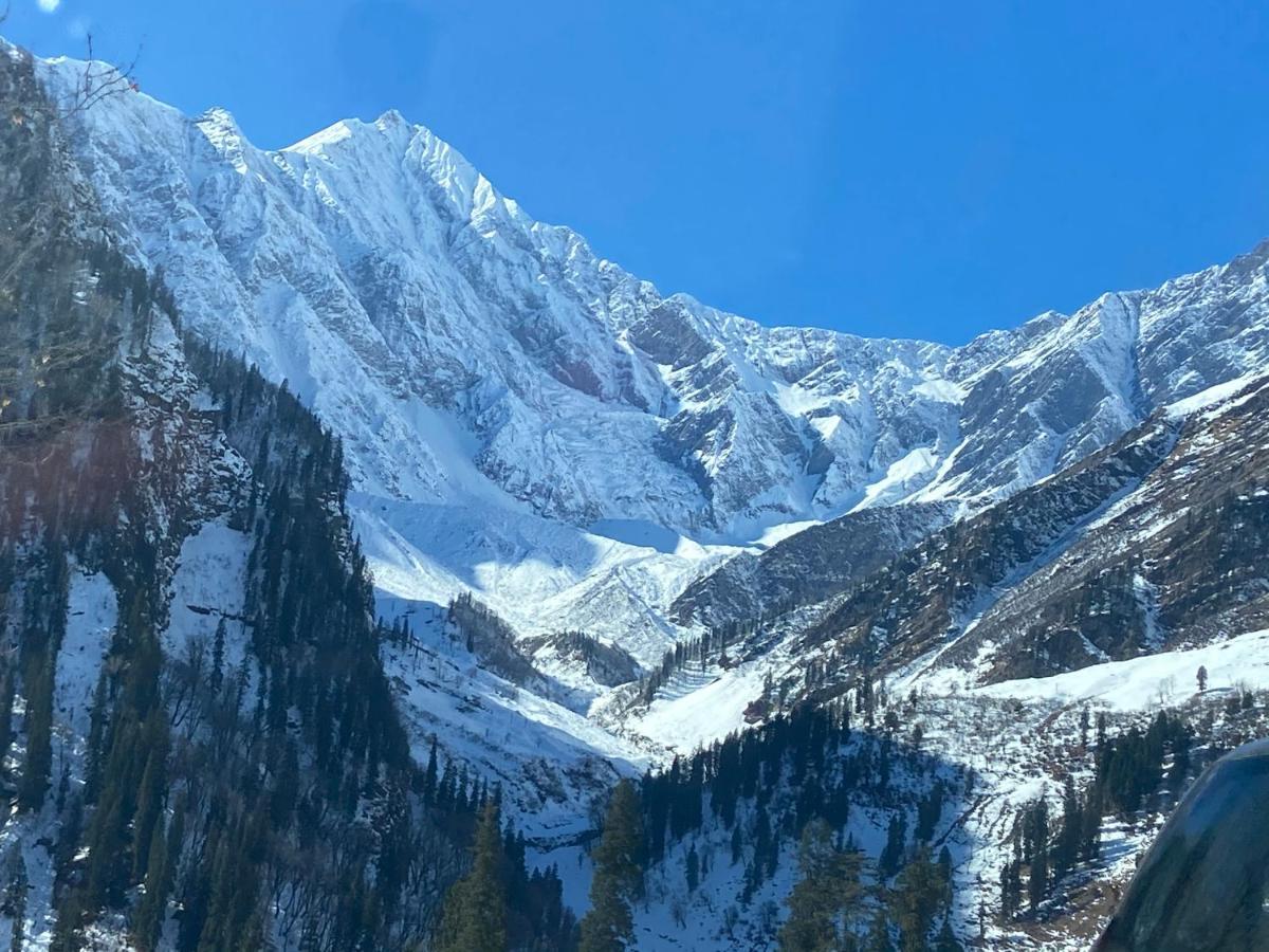 Solang Valley Resort مايالي المظهر الخارجي الصورة