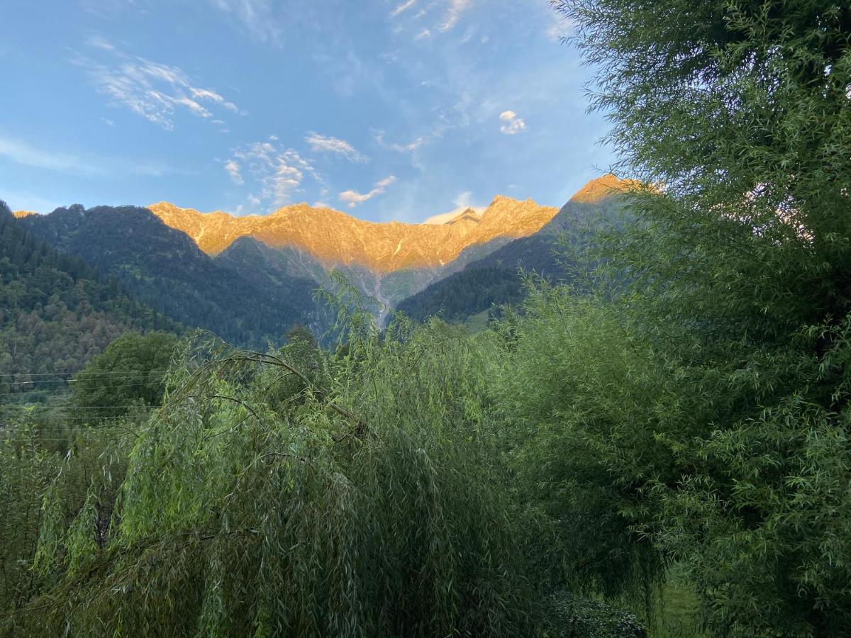 Solang Valley Resort مايالي المظهر الخارجي الصورة