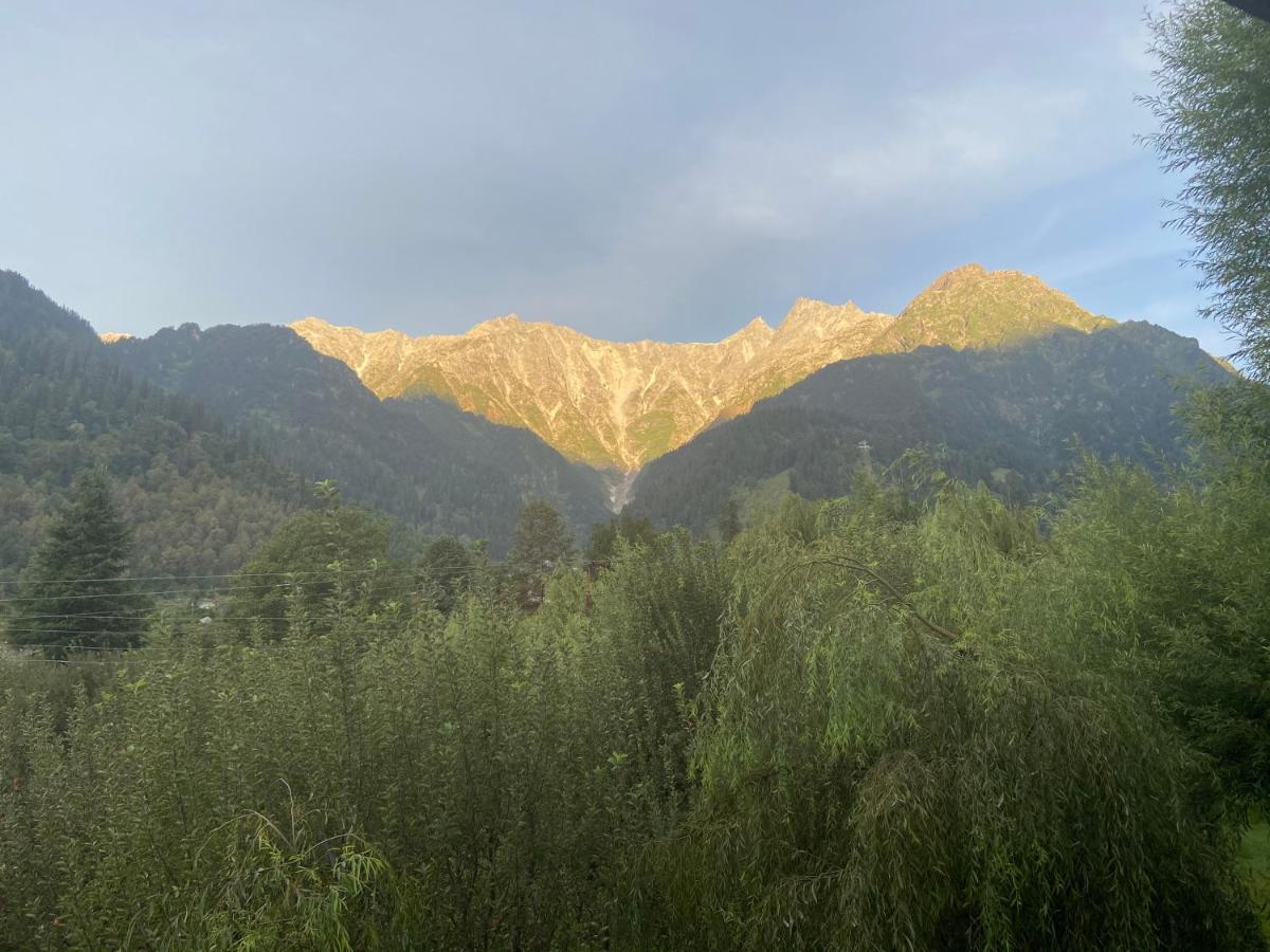 Solang Valley Resort مايالي المظهر الخارجي الصورة
