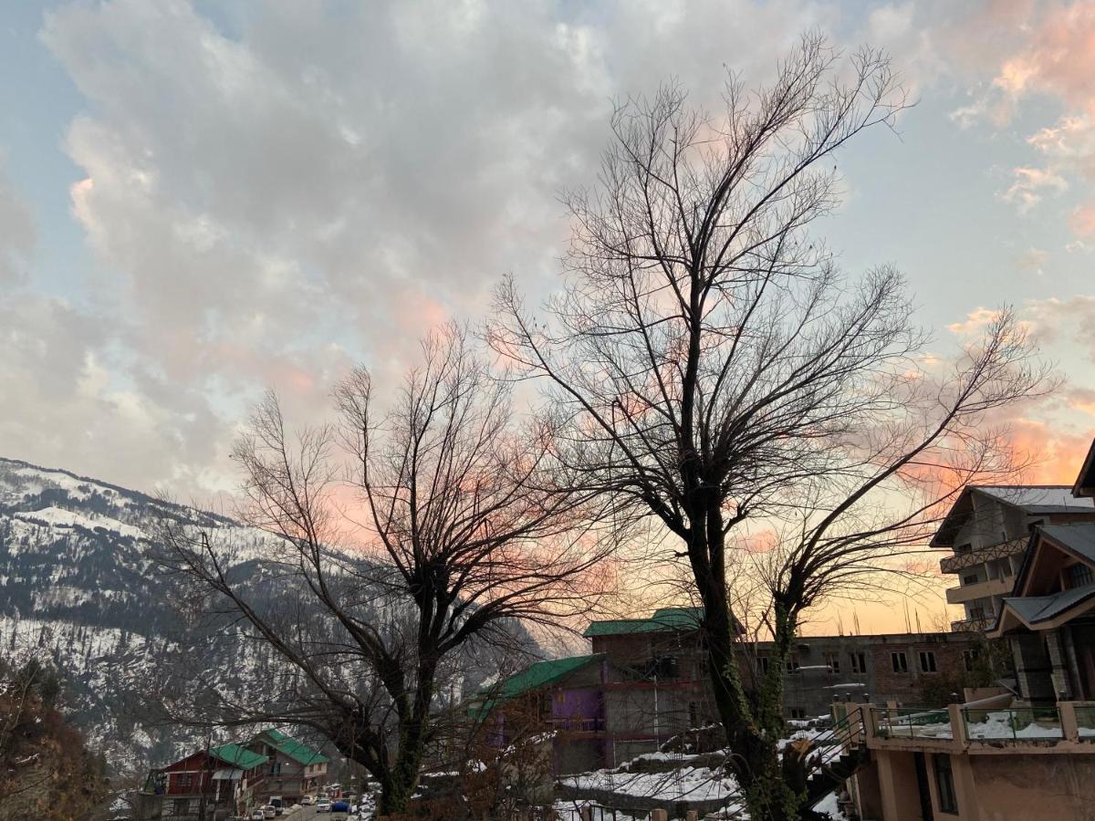 Solang Valley Resort مايالي المظهر الخارجي الصورة