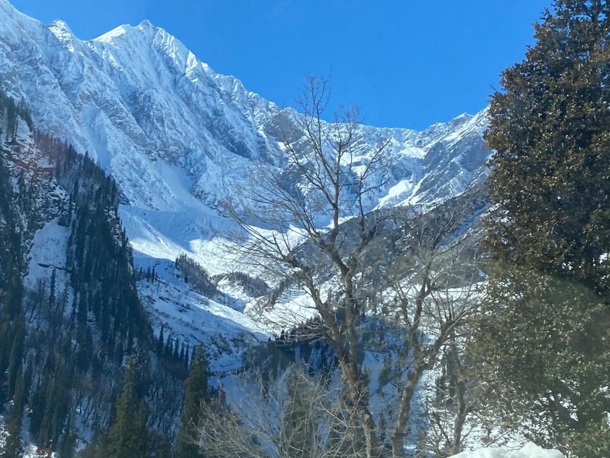 Solang Valley Resort مايالي المظهر الخارجي الصورة