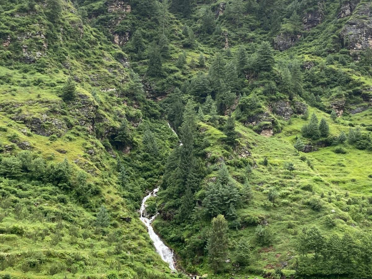 Solang Valley Resort مايالي المظهر الخارجي الصورة