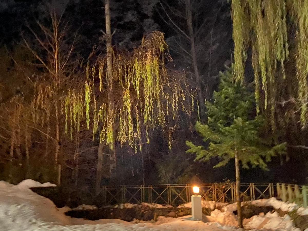 Solang Valley Resort مايالي المظهر الخارجي الصورة