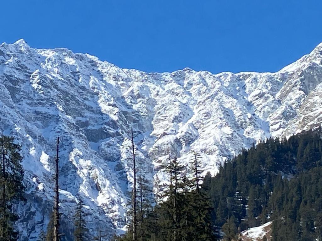 Solang Valley Resort مايالي المظهر الخارجي الصورة